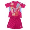 Arsenal Goalkeeper Away Stadium Football Shirts Kids 2024-25 For Sale