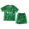 Liverpool Alisson Becker #1 Goalkeeper Away Stadium New Kit for Kids 2024-25 Soccer Jersey
