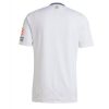 Aston Villa Cheap Men's Away Football Shirt 2024-25 Short Sleeve