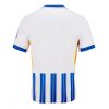 Brighton Cheap Men's Home Football Shirt 2024-25 Short Sleeve
