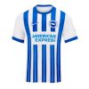 Brighton Cheap Men's Home Football Shirt 2024-25 Short Sleeve
