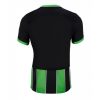Brighton Cheap Men's Third Football Shirt 2024-25 Short Sleeve