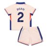 For Sale  Cheap Chelsea Football Jerseys Axel Disasi #2 Away Stadium Kit for Kids 2024-25 3