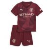 Cheap Manchester City Football Jerseys Erling Haaland #9 Third Stadium Kit for Kids 2024-25