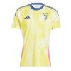 Juventus Cheap Away Football Shirt 2024-25 Short Sleeve