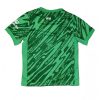 Liverpool Goalkeeper Cheap Away Stadium Shirt 2024-25 For Sale