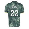 Tottenham Hotspur Brennan Johnson #22 Cheap Third Stadium Shirt 2024-25 Men