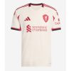 Liverpool Cheap Away Stadium Shirt 2025-26 For Sale