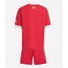 Liverpool Cheap Home Stadium Kit for Kids 2025-26 UK Sale