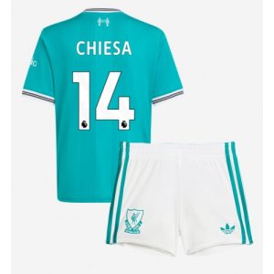 Liverpool Federico Chiesa #14 Cheap Third Stadium Kit for Kids 2025-26 UK Sale