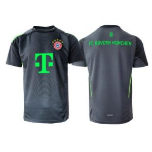 Bayern Munich Goalkeeper Cheap Away Stadium Shirt 2025-26 Mens Sale