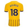 Brighton Danny Welbeck #18 Cheap Third Stadium Shirt 2025-26 UK Sale