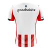 PSV Eindhoven Cheap Home Stadium Shirt 2025-26 For men