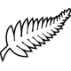 New Zealand World Cup 2026 Kids Kits