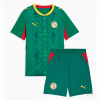 Senegal Cheap Away Stadium Kit for Kids World Cup 2026 For Sale