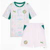 Senegal Cheap Home Stadium Kit for Kids World Cup 2026 For Sale