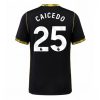 For Sale  Chelsea Moises Caicedo #25 Cheap Away Stadium Shirt 2026-27 Men football shirts uk 3