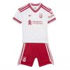 For Sale  Liverpool Alexis Mac Allister #10 Cheap Away Stadium Kit for Kids 2026-27 football kit set 4